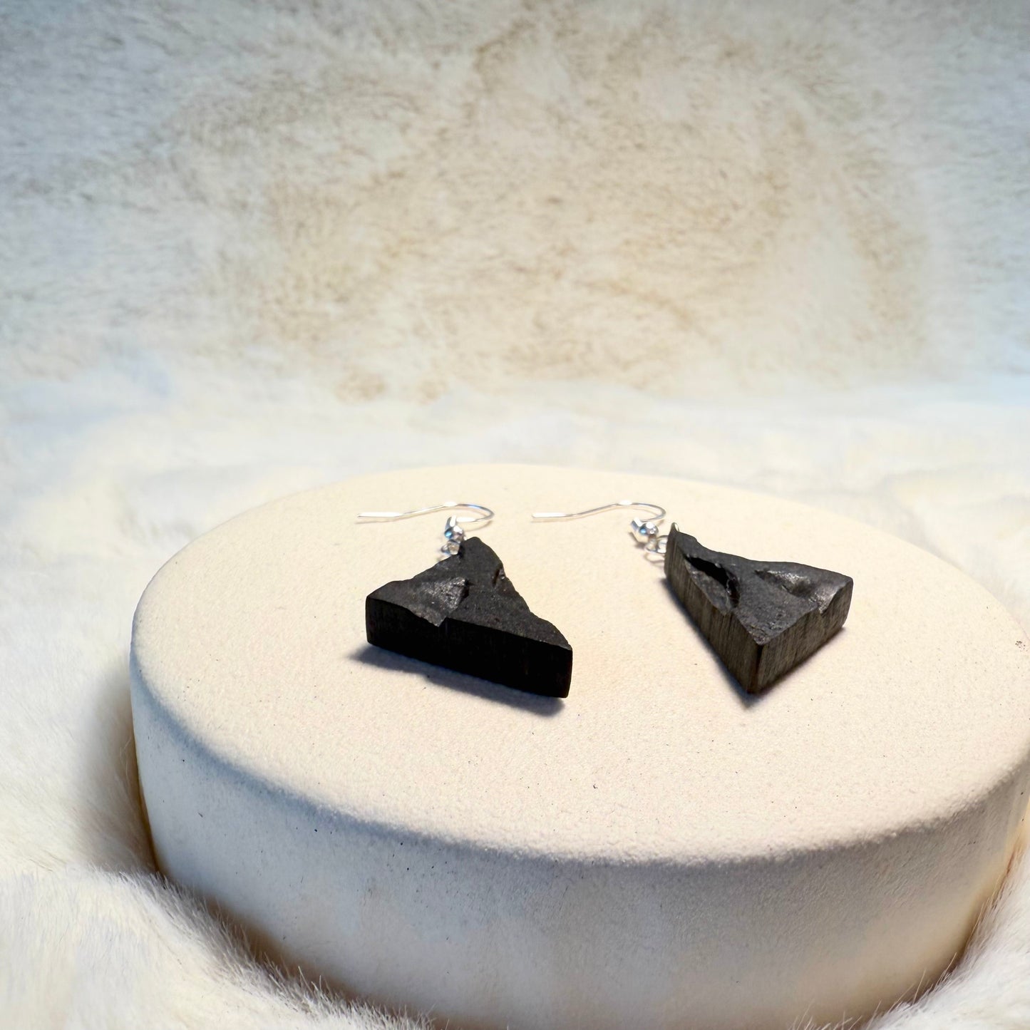 Natural handmade earrings in dark fossilized wood.