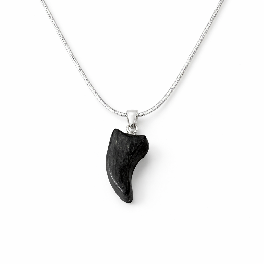 Black tooth-shaped pendant on a silver chain against a white background