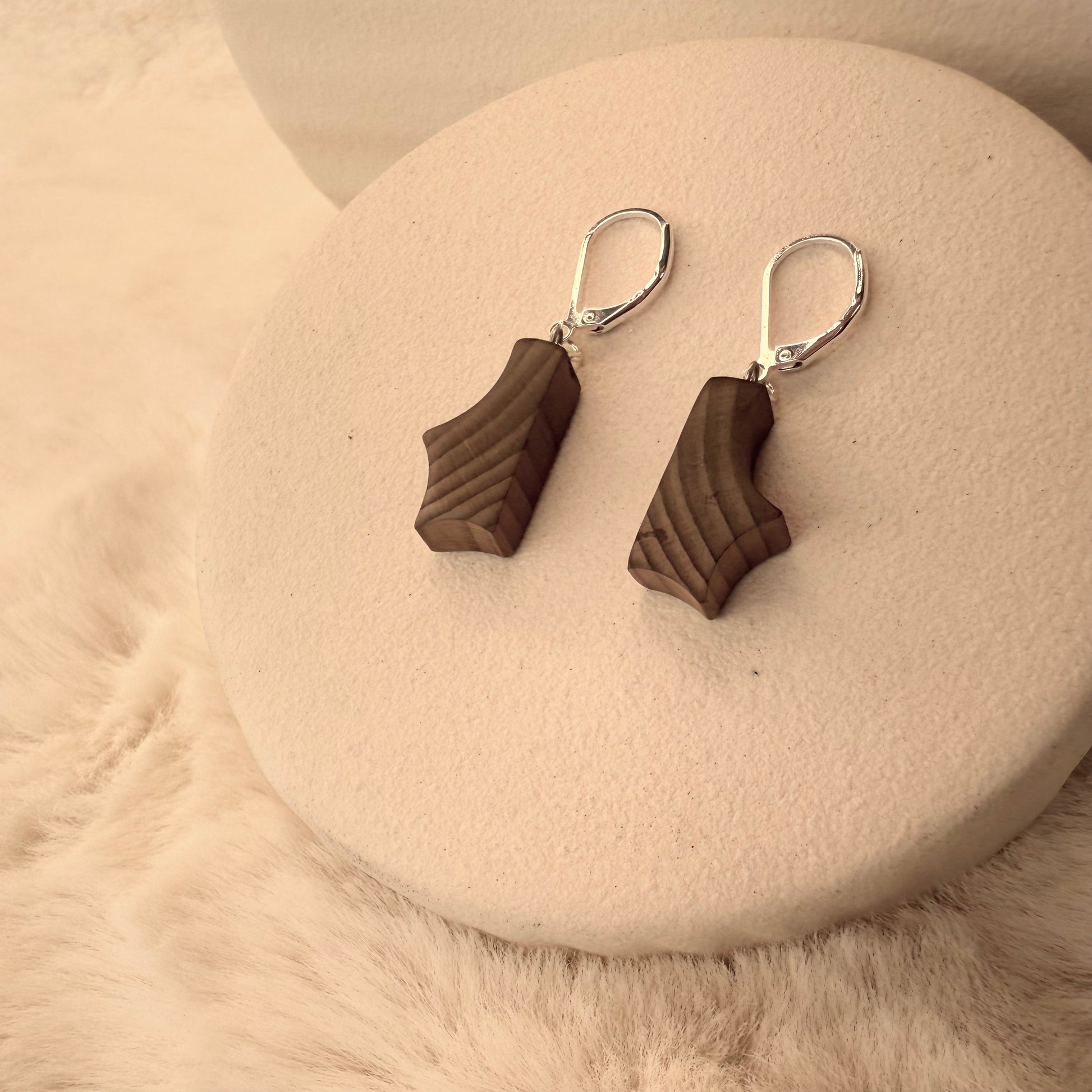 Handcrafted earrings made from ancient bog wood with 925 sterling silver hooks, featuring unique grain and natural wood tones