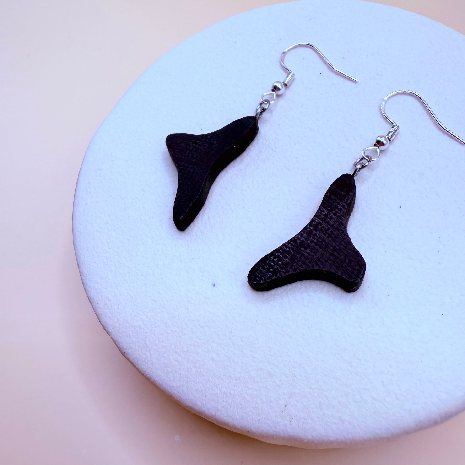 Stainless Steel earrings 