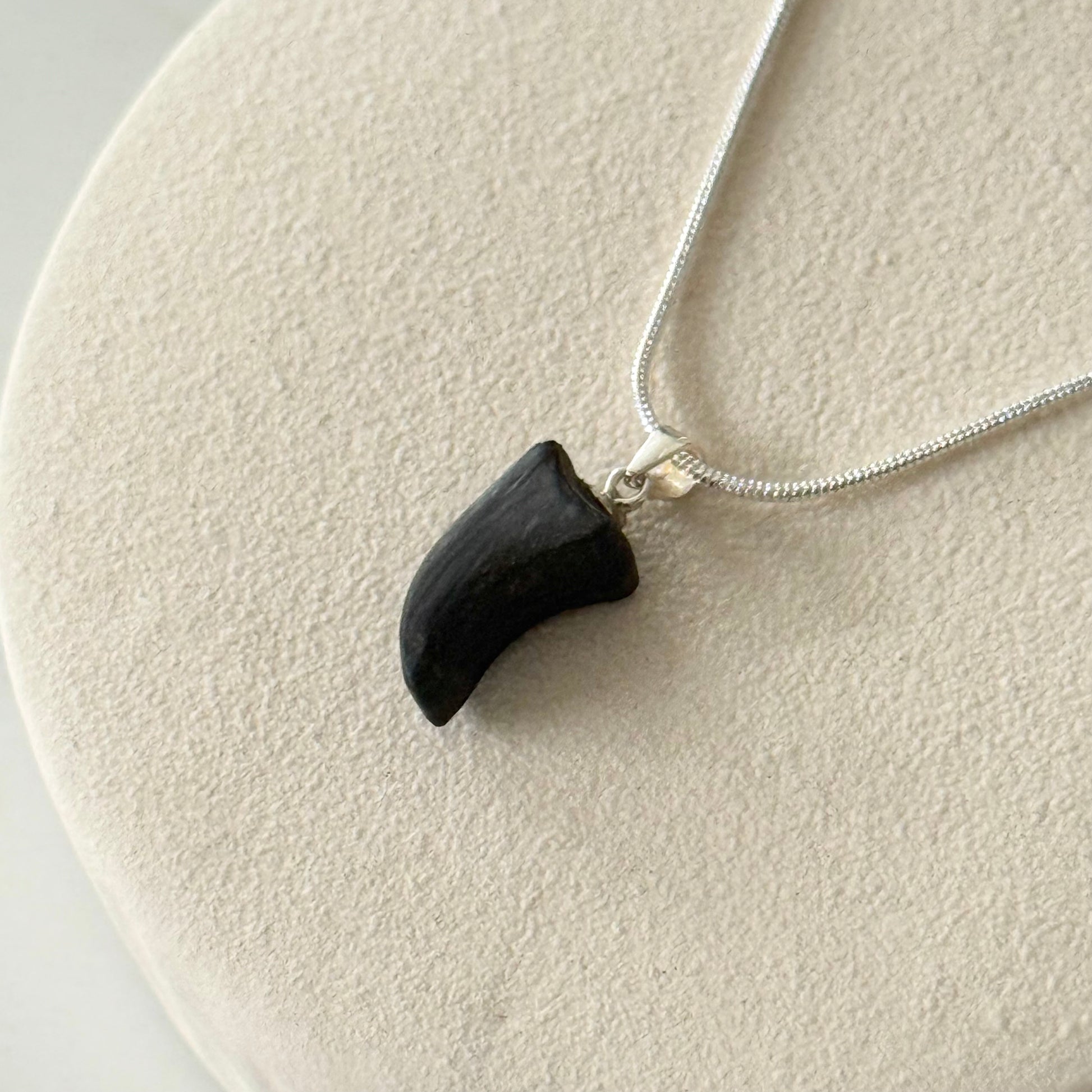 Black tooth-shaped pendant on a silver chain against a beige background