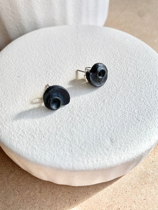 bog oak stud earrings 