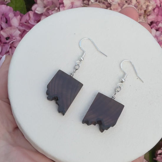 bog wood handmade earrings 
